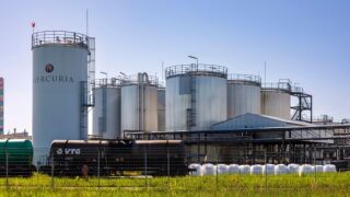 Mercuria from alamy.jpg