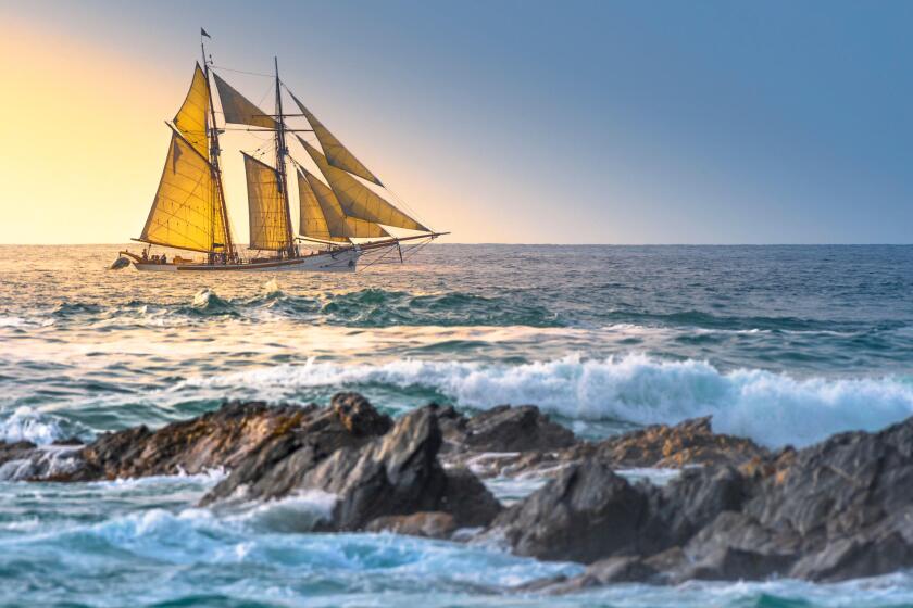 The schooner Anny owned by Rolf Munding under full sail sailing past Fistral in Newquay in Cornwall.