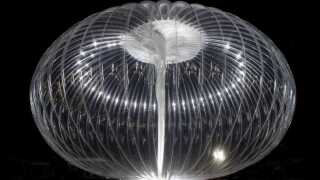 Loon black background.jpg