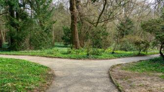 two paths in the nature decision concept in Sarvar arboretum early spring time with wild flowers .