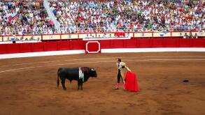 Manuel Jesus Cid Salas known as El Cid Spanish bullfighter with bull standing in front of him Santander Cantabria Spain 21 July 2009