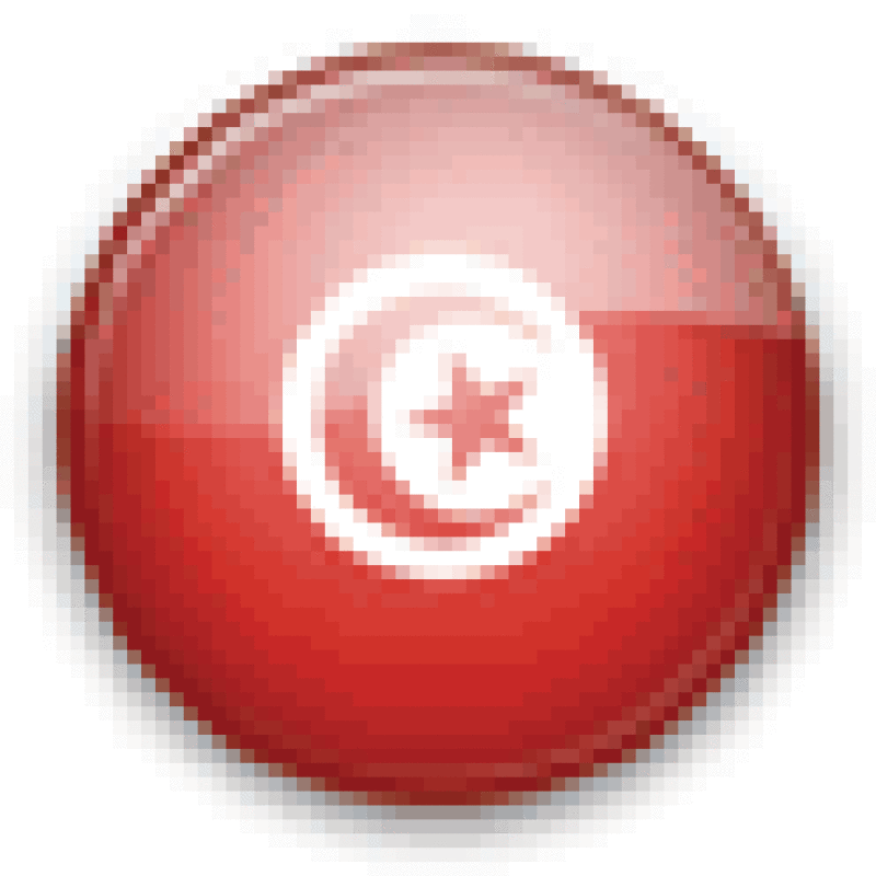 Tunisia flag