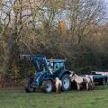 A farmer feeding his horses, seen from the A46 towards Newark on Trent, Nottinghamshire, UK