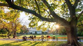 Austria Vienna sunshine_alamy_27Oct22