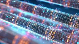 Fibre network NEW.jpg