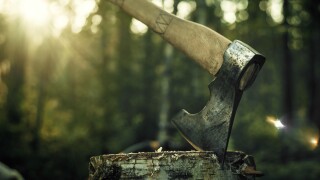 A woodcutter's big axe is stuck into a log in the forest, the setting sun in the background.Beautiful artistic photo of an axe.