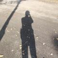 shadow of a person and a tree on the ground