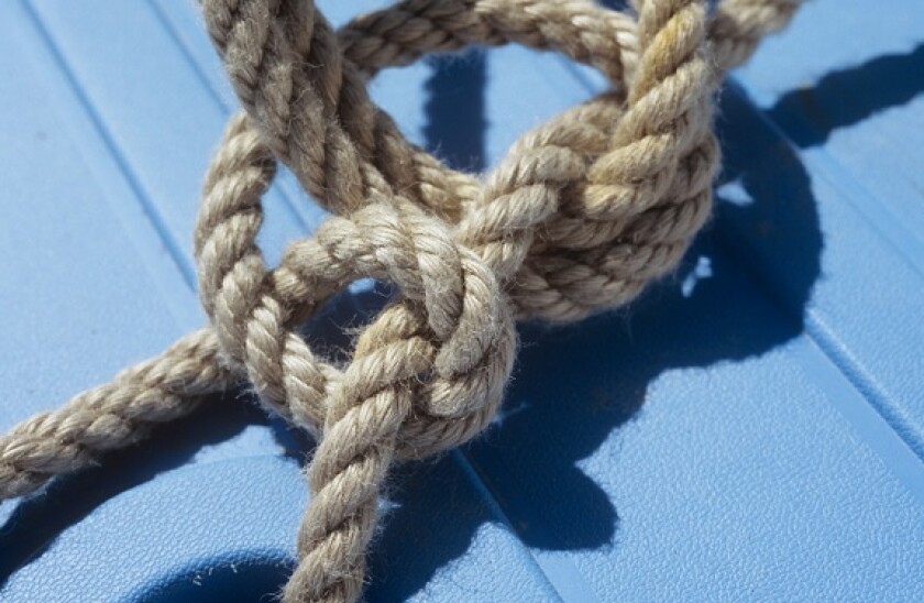 Complex_knot_Alamy_575x375_240621