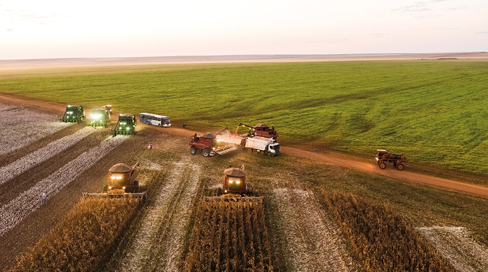 Cotton harvest / cotton harvest