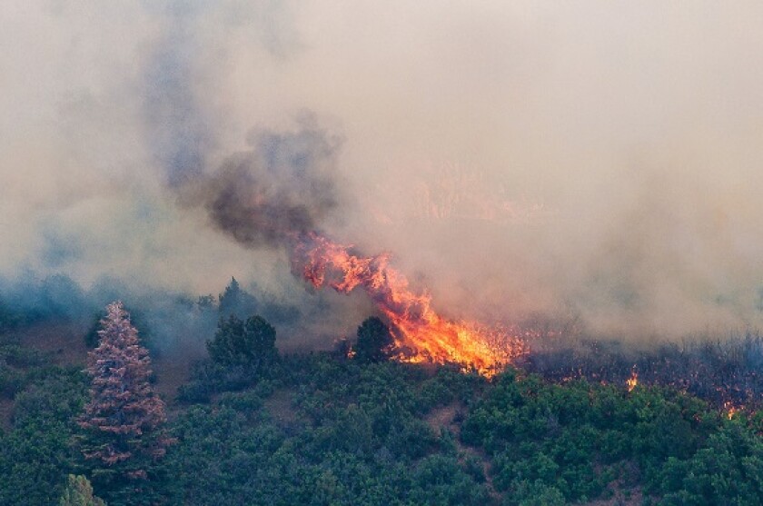 Wildfire East Peak from Alamy 20Jul23 575x375