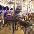 Cat on a carousel at Winter Wonderland, Hyde Park, London, UK 2020