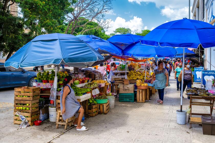 Street market selling food and traditional products in Merida, Mexico