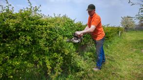 Man trimming hedge with gasoline-powered hedge trimmer