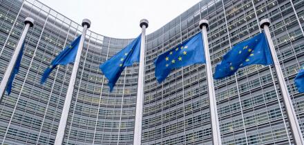 Berlaymont drapeaux europeens et neige | 
European flags around schuman and Berlaymont building with snow