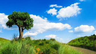 Into the blue yonder