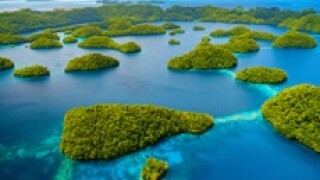 Fotolia Philippines 230x150