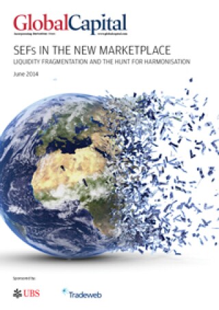 sefs-cover-20144.jpg