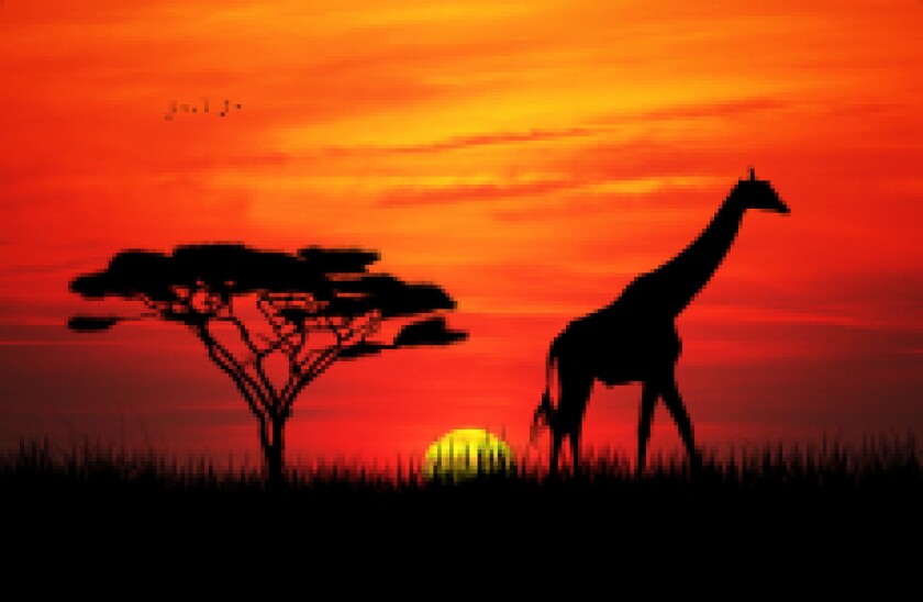 Kenya sunset px230 for gc