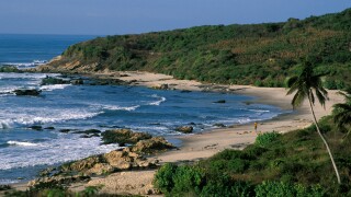 palm-lined beach, Biriwa, Ghana