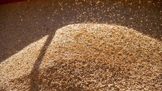 Adobe_grain_575x375_dec20