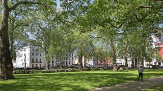 Berkeley Square in London's wealthy Mayfair district. Shows the centre of the garden square on a sunny summer day.