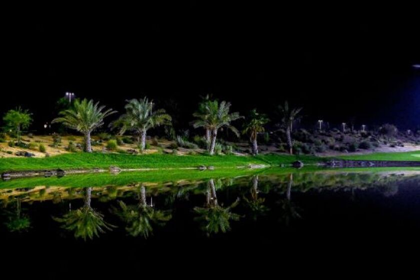 UAE from alamy 12 Feb 25.jpg
