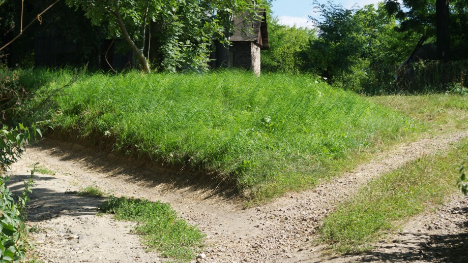 bifurcation of the road