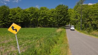 Two minivans driving on a country through a forest of deciduous trees in summer.