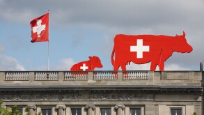 Berlin, Germany, Swiss cows and flag on the embassy Schweitzer