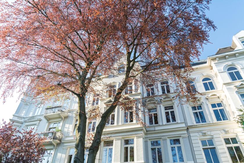 White facade of beautiful historic apartment building