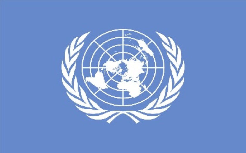 UN flag large