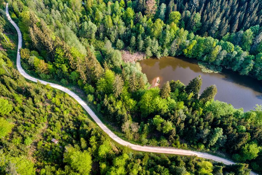 Germany, Baden-Wuerttemberg, Schurwald, Aerial view of road at Herrenbach reservoir