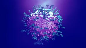 Antibodies attacking cancer cell, illustration
