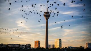 Dusseldorf the capital city of the German state of North Rhine-Westphalia