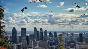 View of downtown Montreal from the top of Mount Royal
