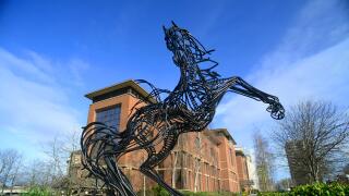 black horse statue "Cancara" created by peter tysoe outside Lloyds bank headquarters Lovell Park Leeds united kingdom