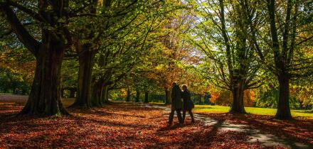 EMBARGOED TO 2330 TUESDAY OCTOBER 21 File photo dated 09/10/18 of walkers passing through the fallen autumnal leaves in Clarke's Gardens, Allerton, Liverpool. Older women who clock up 4,000 steps a day just once or twice a week cut their chance of early d