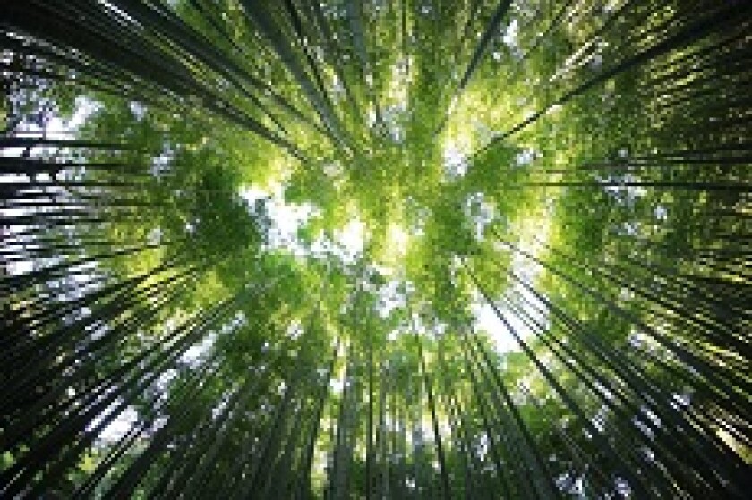DONT_REUSE_Green_trees_230x150