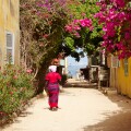 Rue Bouffles, Ile de Goree, Senegal, Africa