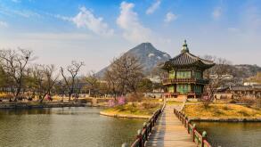 Spring at Gyeongbokgung Palace, Seoul, South Korea