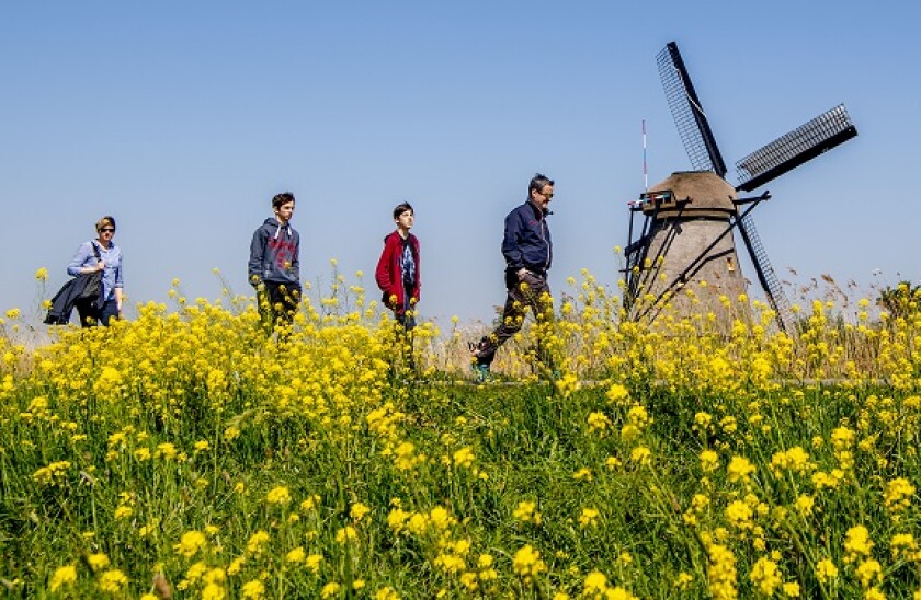 Netherlands_windmill_PA_575x375_140720