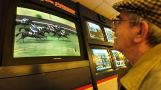 Old man in cloth cap watching a horse race on tv screen in William Hill