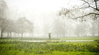 April Showers in Green Park, London