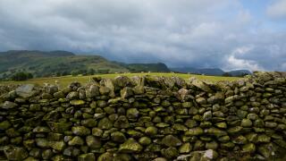 Lake District Cumbria England stone wall separating two fields