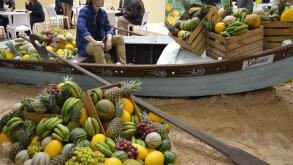 Berlin, Germany. 9th February 2017. Fruit Logistica 2017 fair underway in Berlin, Germany. Credit: Markku Rainer Peltonen/Alamy Live News