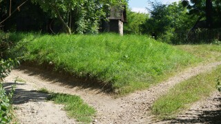 bifurcation of the road