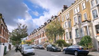Victorian terraced houses line a residential street with rowan trees in the affluent leafy neighbourhood of Hampstead Village, North London England UK
