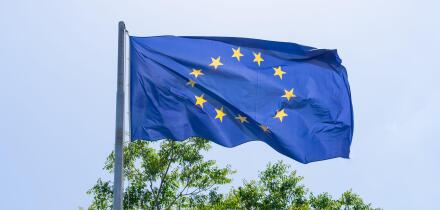 An European Union (EU) flag waving with a tree in the background.