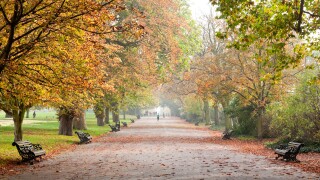Regent's Park in autumn, London, England, UK