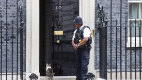 Larry the resident No.10 mouse catcher waiting to be let in by British bobby on Downing Street, Westminster, London, UK